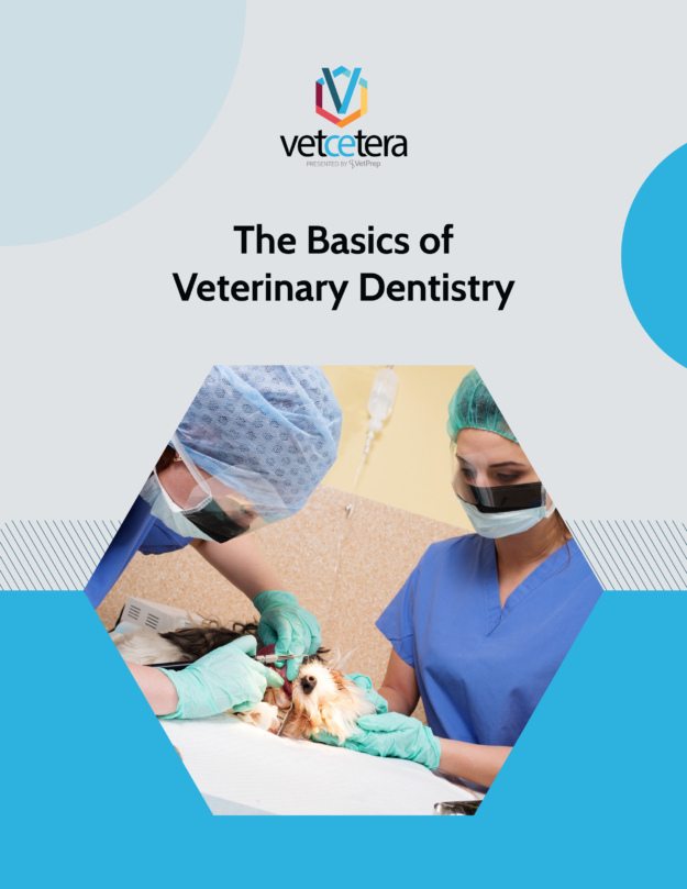 A New Grad’s Guide to the Basics of Veterinary Dentistry A New Grad's Guide to the Basics of Veterinary Dentistry