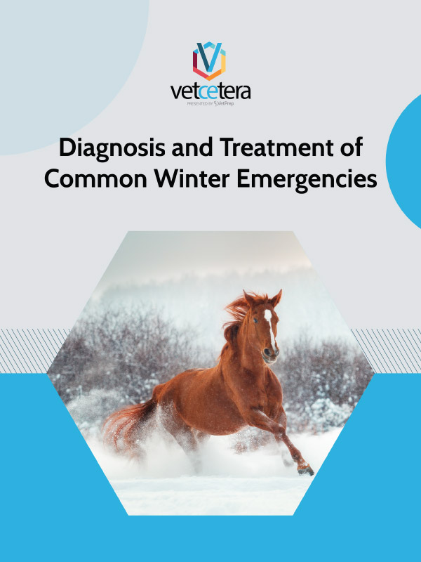 Diagnosis and Treatment of Common Winter Emergencies: A Guide for Vet Students Diagnosis and Treatment of Common Winter Emergencies: A Guide for Vet Students