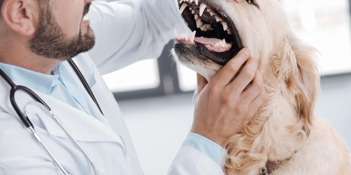 B0003-Tile Anesthesia-Free Dentistry: What’s the Big Deal?