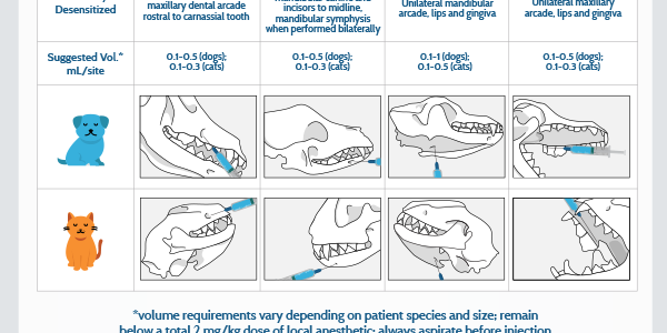 Local Regional Dental Blocks