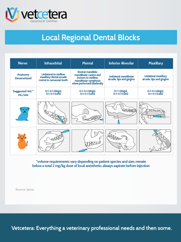 Local Regional Dental Blocks Local Regional Dental Blocks