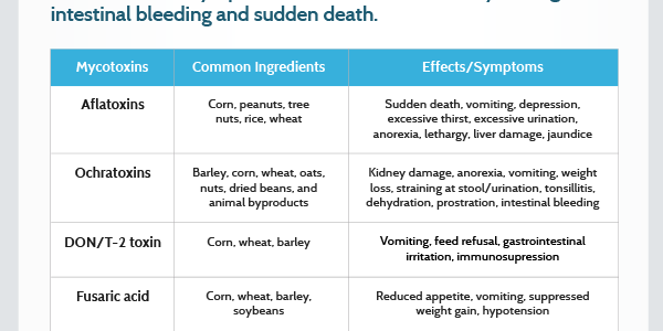Effects of Some Mycotoxins on Dogs