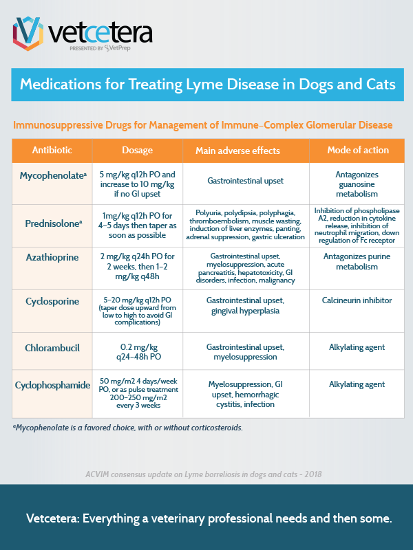 Medications for Treating Lyme Disease in Dogs and Cats: Immunosuppressive Drugs for Management of Immune–Complex Glomerular Disease