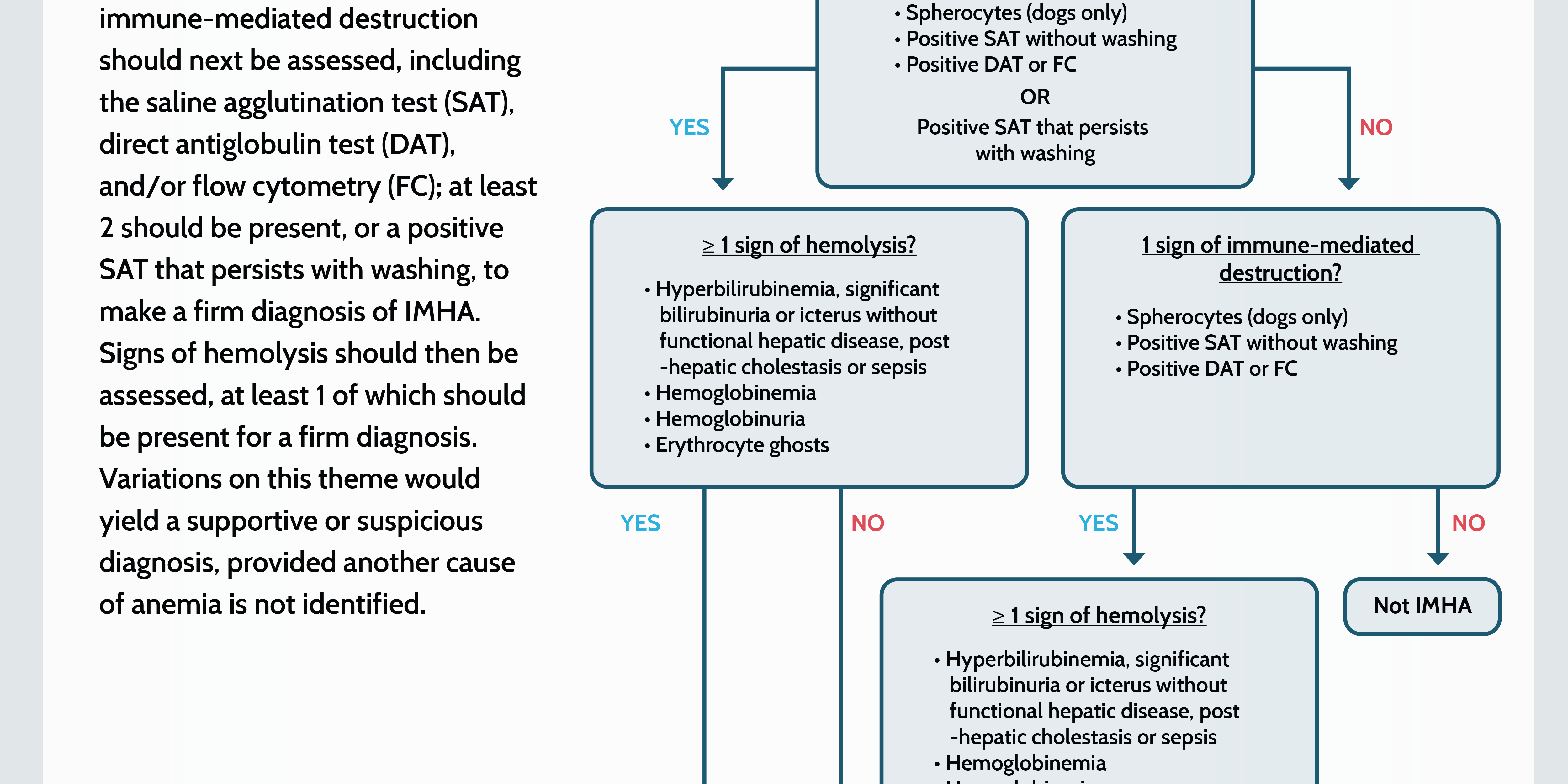 Diagnostic Algorithm for Immune-Mediated Hemolytic Anemia in Dogs and Cats