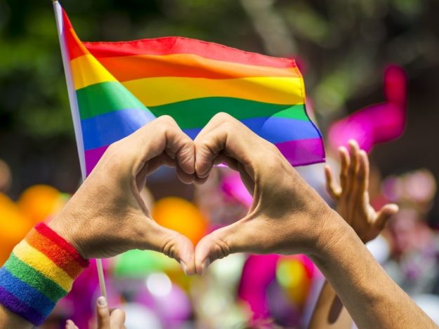 A Conversation about Gender Identity and LGBTQ+ Rights in the Veterinary Community