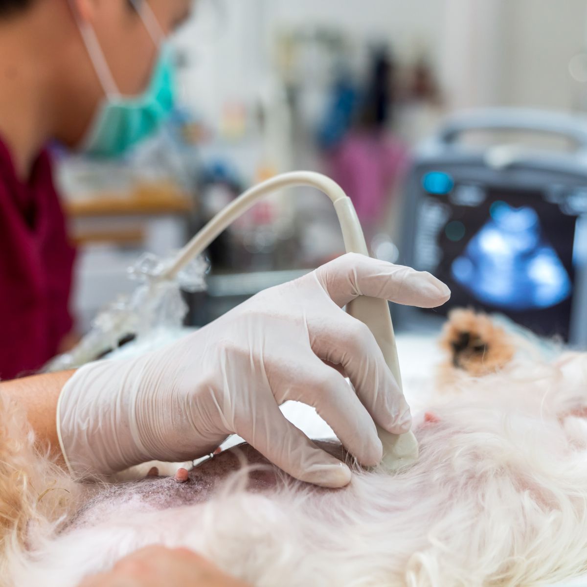 AFAST® and Its Target-organ Approach for Soft Tissue Abnormalities