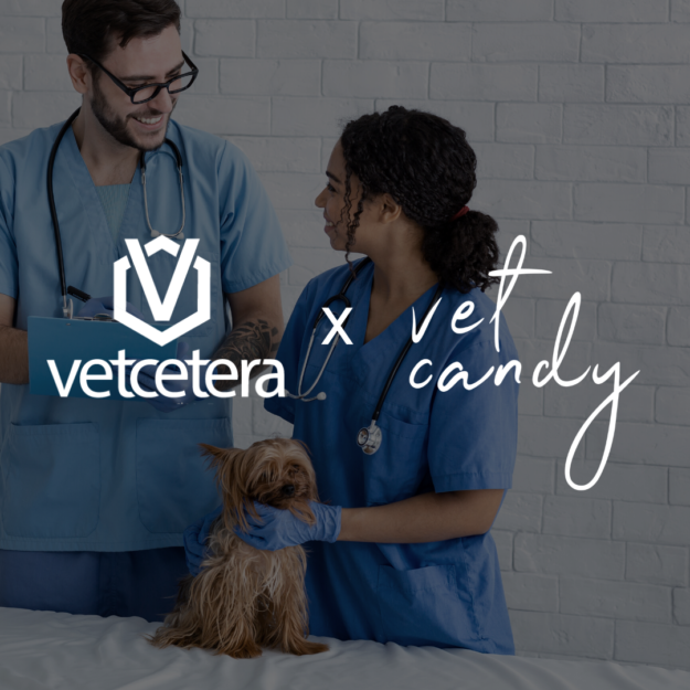 VetCandy (1)
