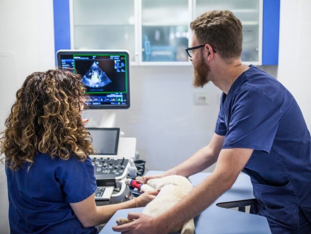 TFAST for the Accurate Diagnosis of Pleural and Pericardial Effusion
