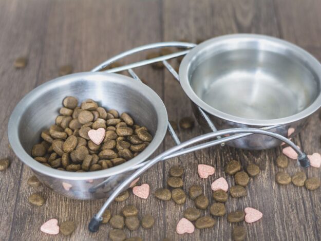 Heart Healthy: Diets & Supplements in the Canine Patient