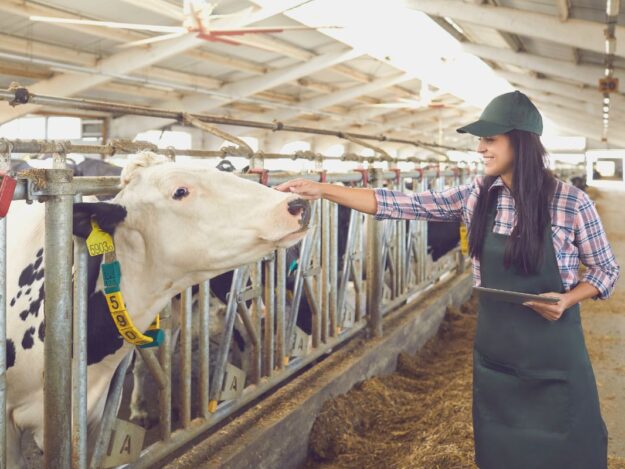 VL0146_Tile Developing Herd Health Programs Through a Risk-Based Approach