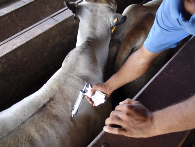 VL0160_Tile Autogenous Vaccines in Food Animals