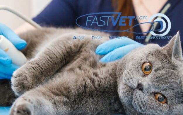 Fast Vet_Ultrasound Image