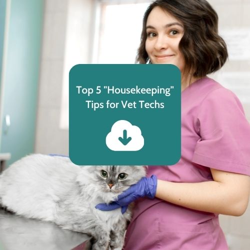Top 5 Housekeeping Tips for Vet Techs