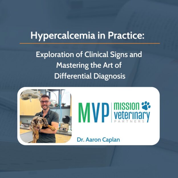 MVP_Dr Aaron Caplan (3)
