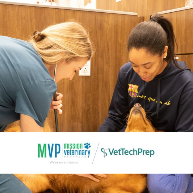 MVP – June VTP MVP June Feature VetTechPrep