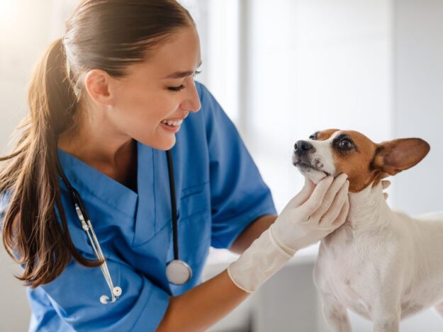 Maximizing Veterinary Technician Utilization - Session 1: The Role and Importance of Veterinary Technicians
