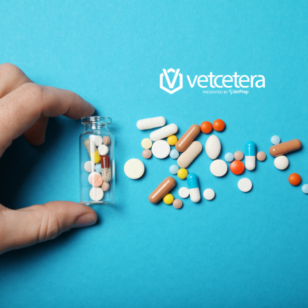 Chemotherapy Essential Drugs in Chemotherapy