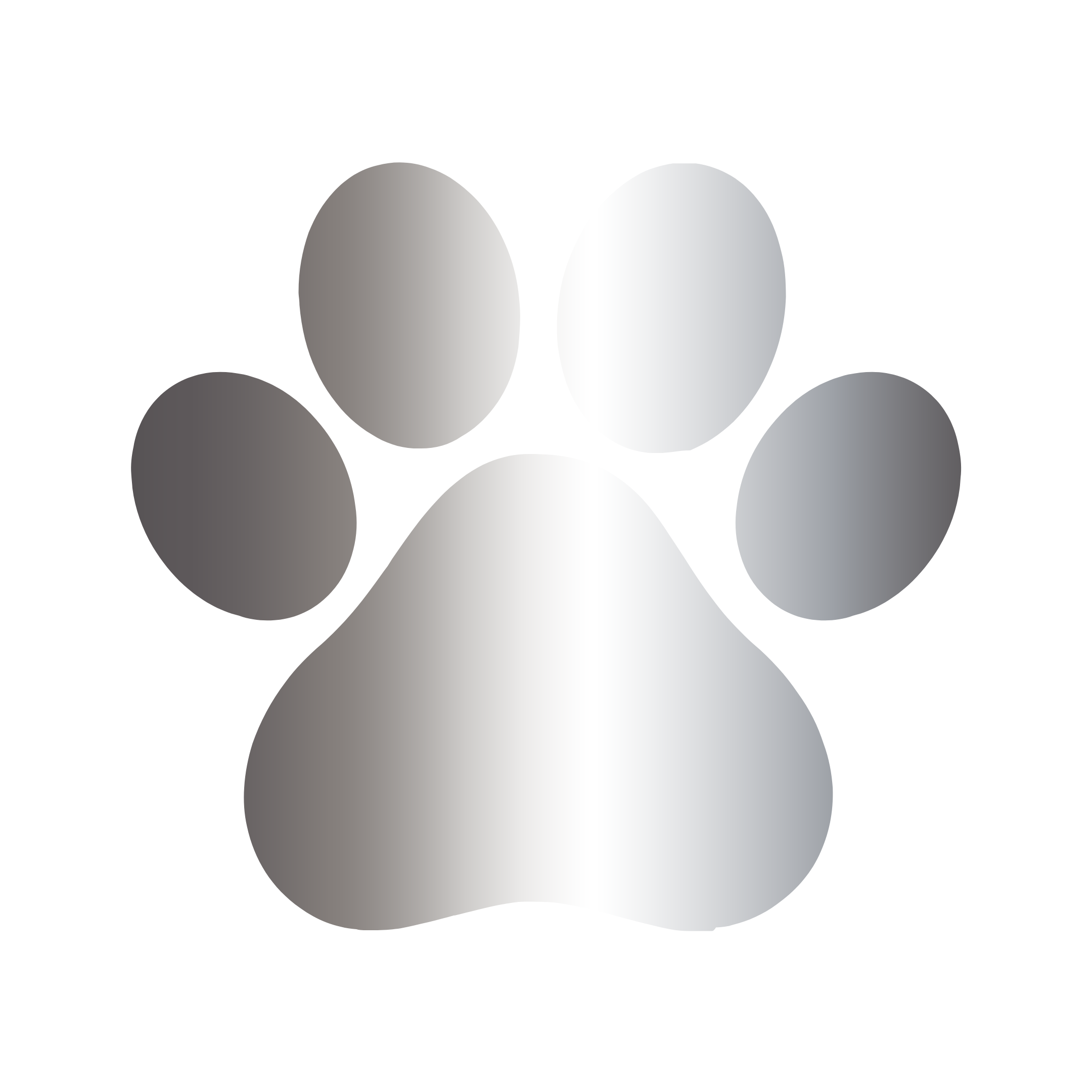 Silver Paws