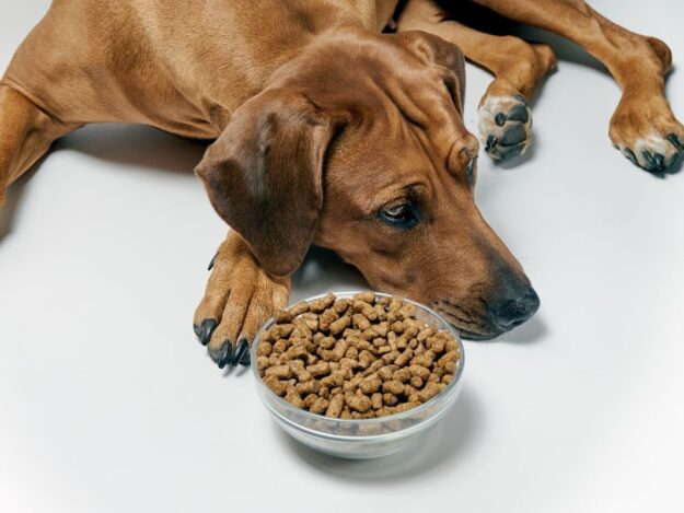 Nutritional Management of Pancreatitis